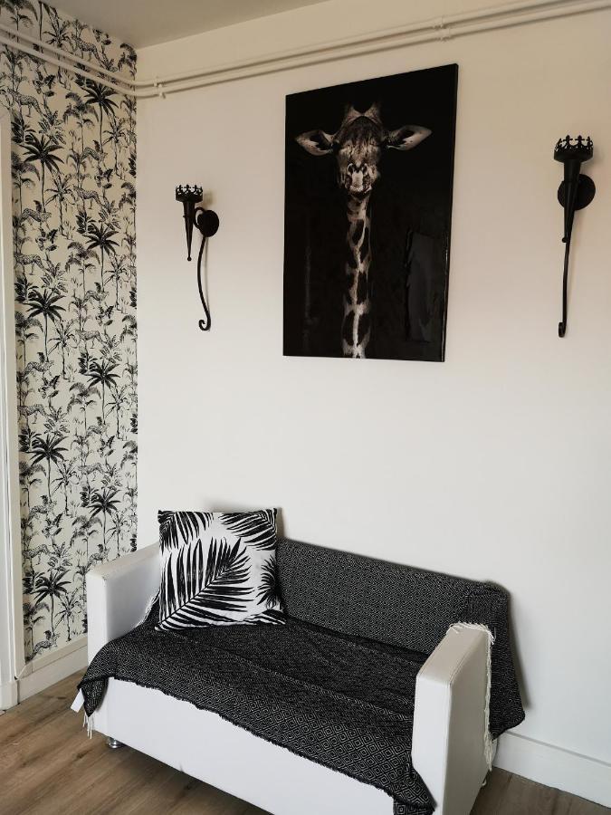 Appartement : Superbe T3 Centre-ville Avec Place De Parking *